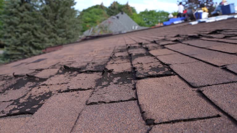 Best Green or Eco-Friendly Roofing Solutions  in Rotonda, FL